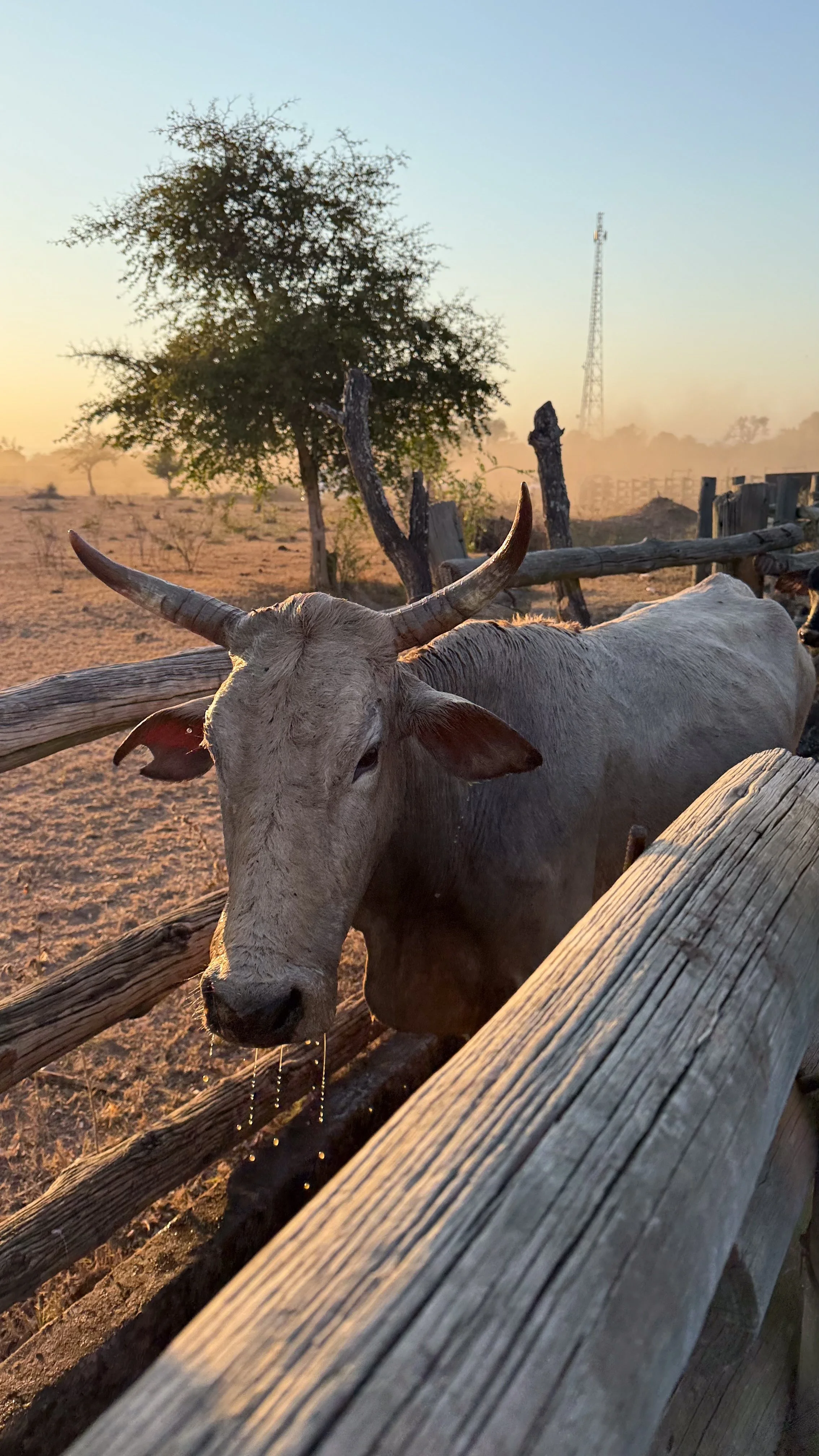 landscapeandwildlife_Kruger_-11-3.jpg