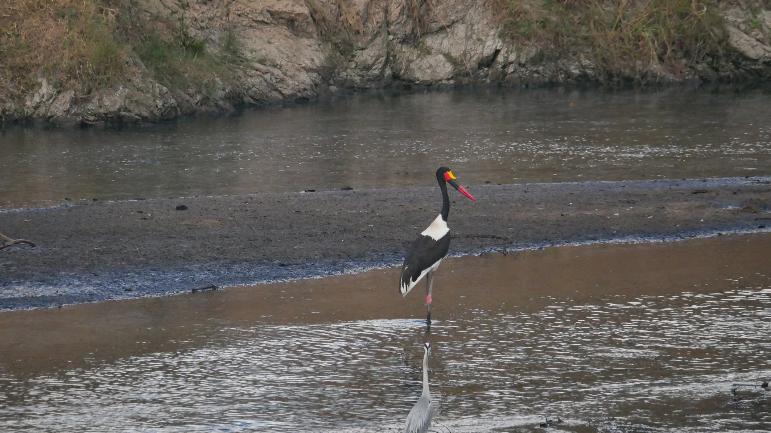 landscapeandwildlife_Kruger_-155.jpg