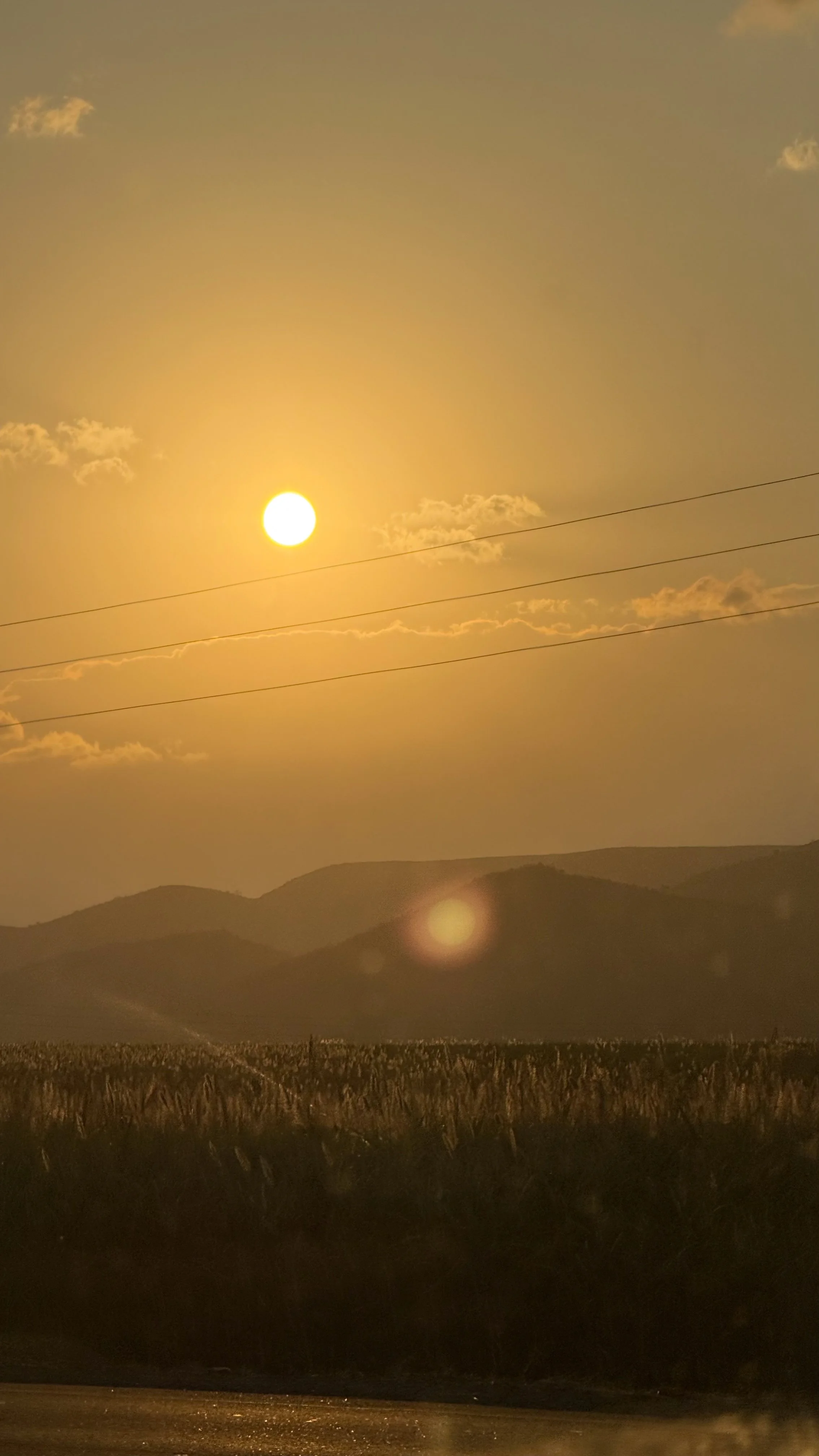 landscapeandwildlife_Kruger_-18-2.jpg