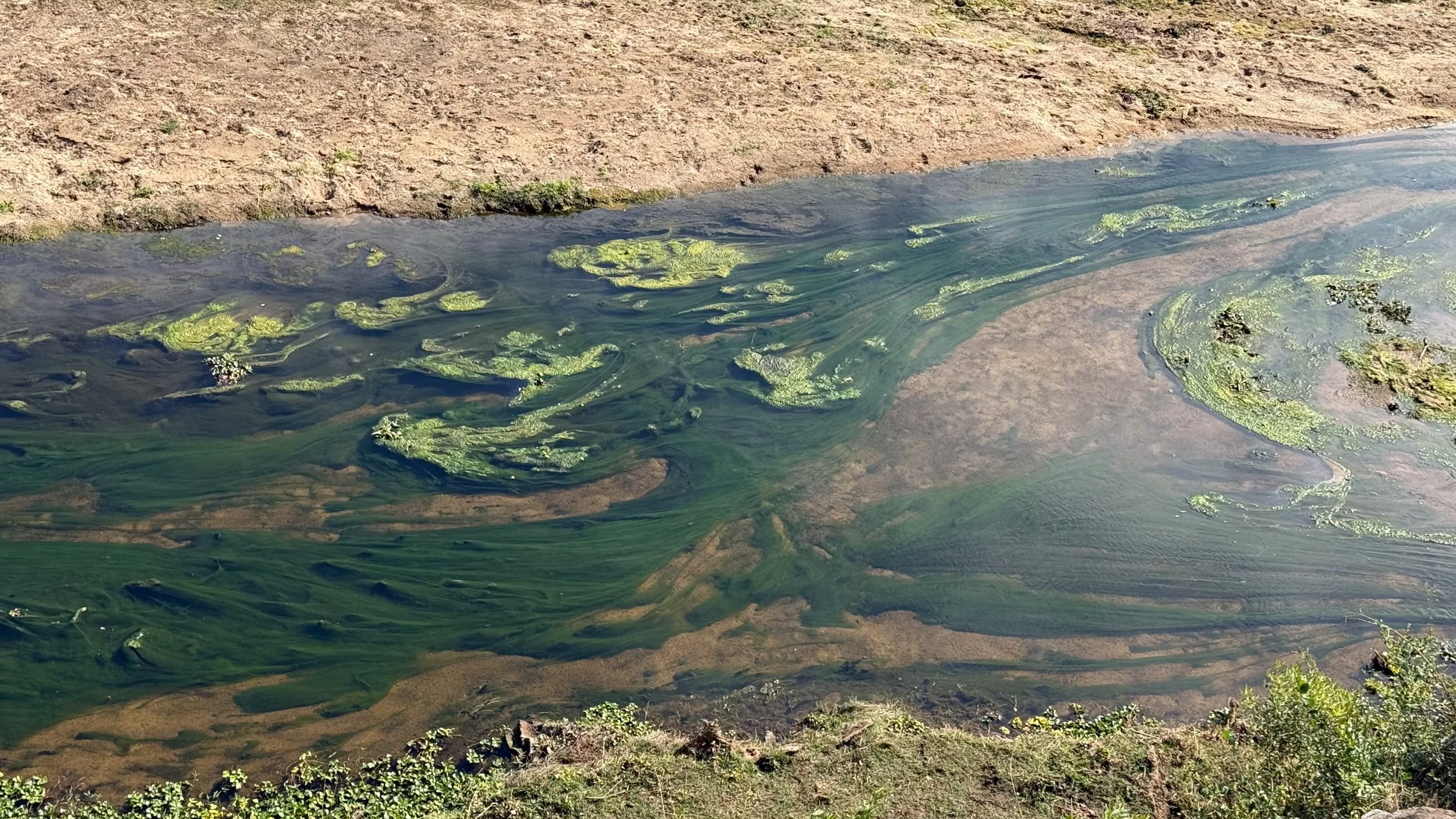 landscapeandwildlife_Kruger_-21-2.jpg