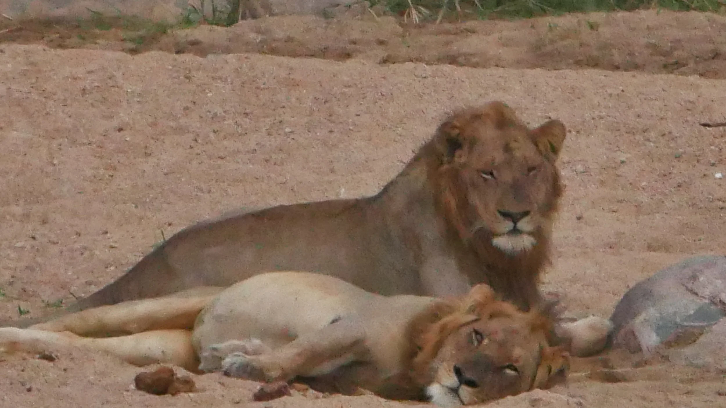 landscapeandwildlife_Kruger_-95.jpg