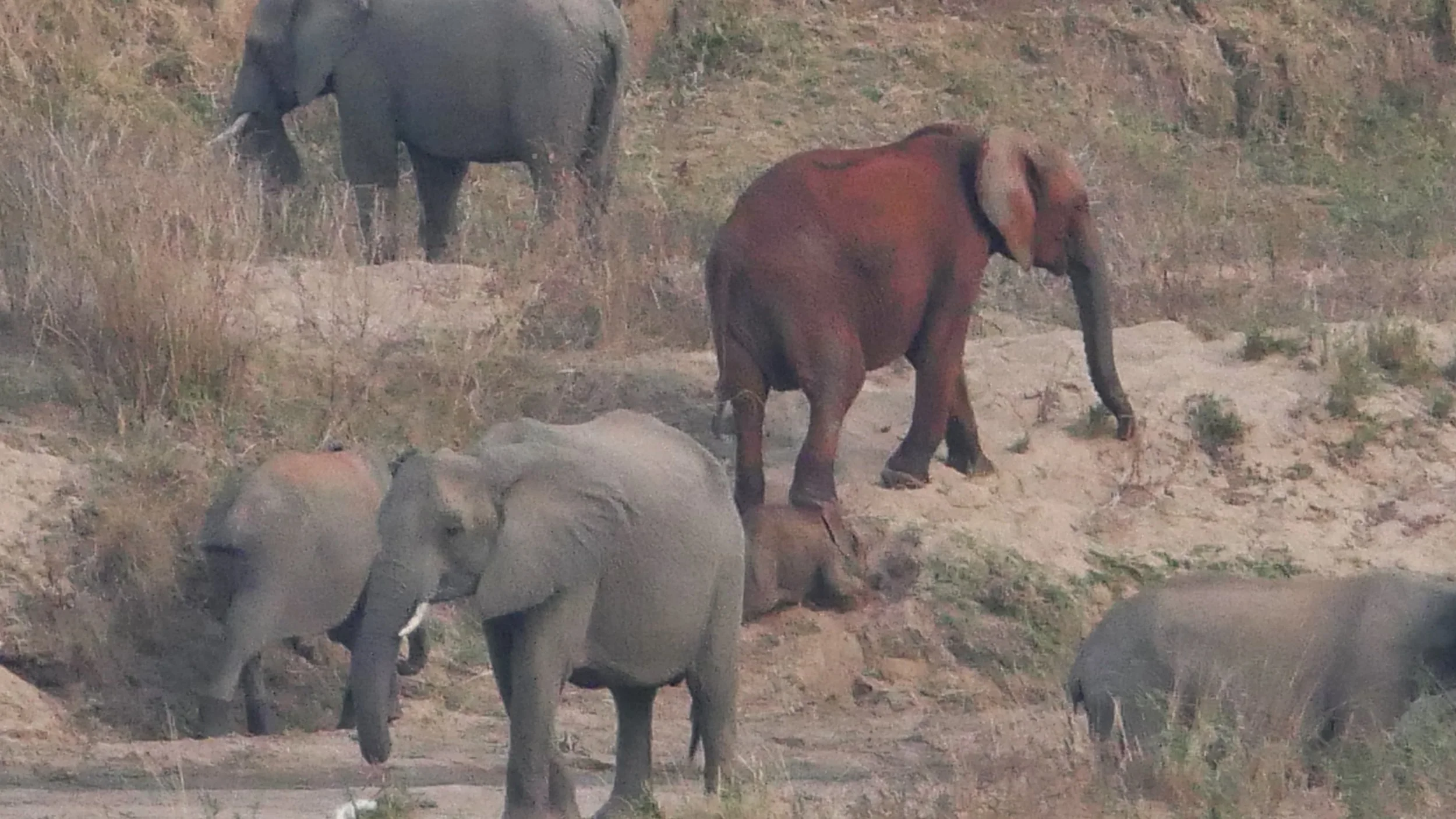 landscapeandwildlife_Kruger_-169.jpg