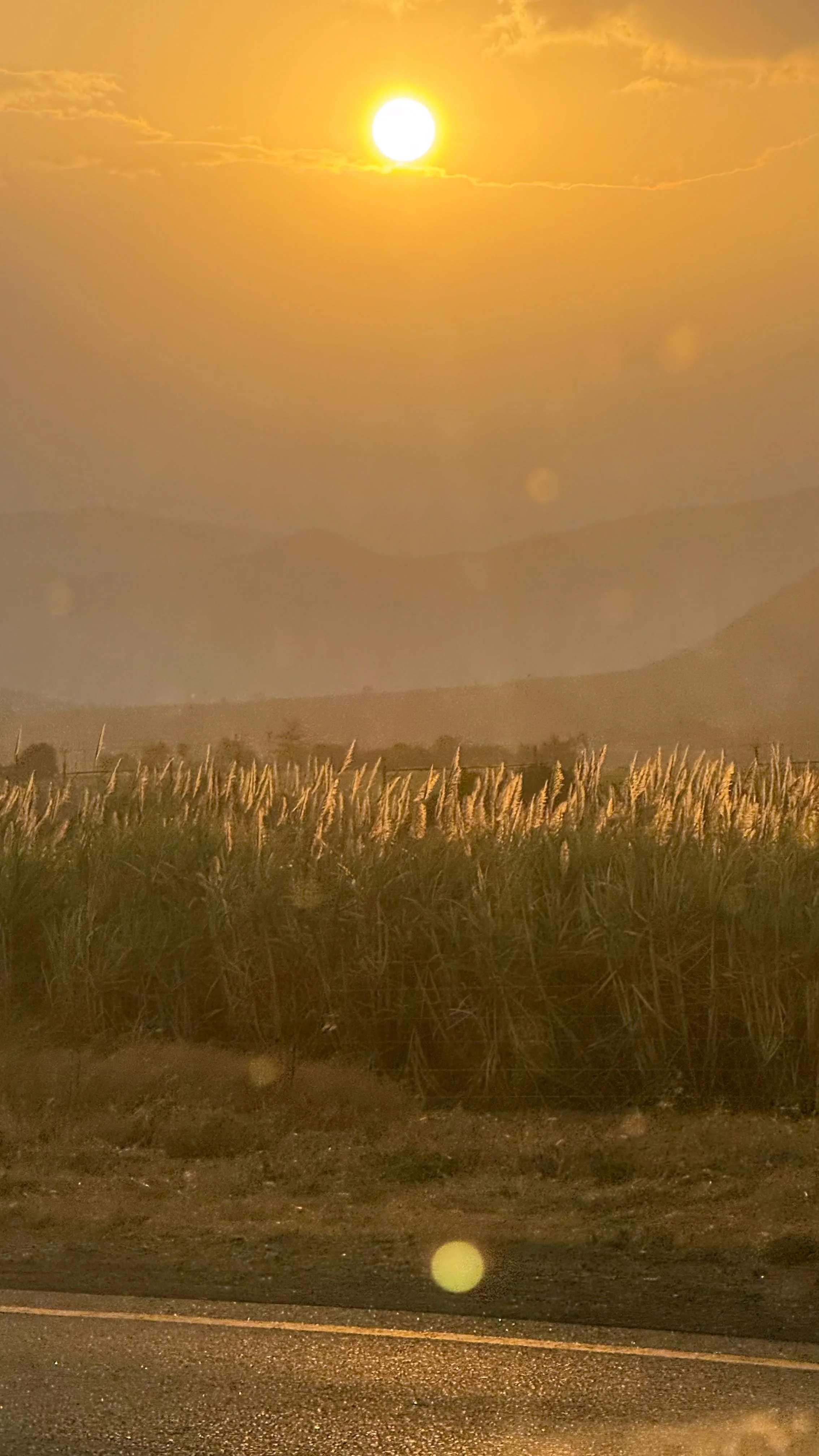 landscapeandwildlife_Kruger_-20-2.jpg