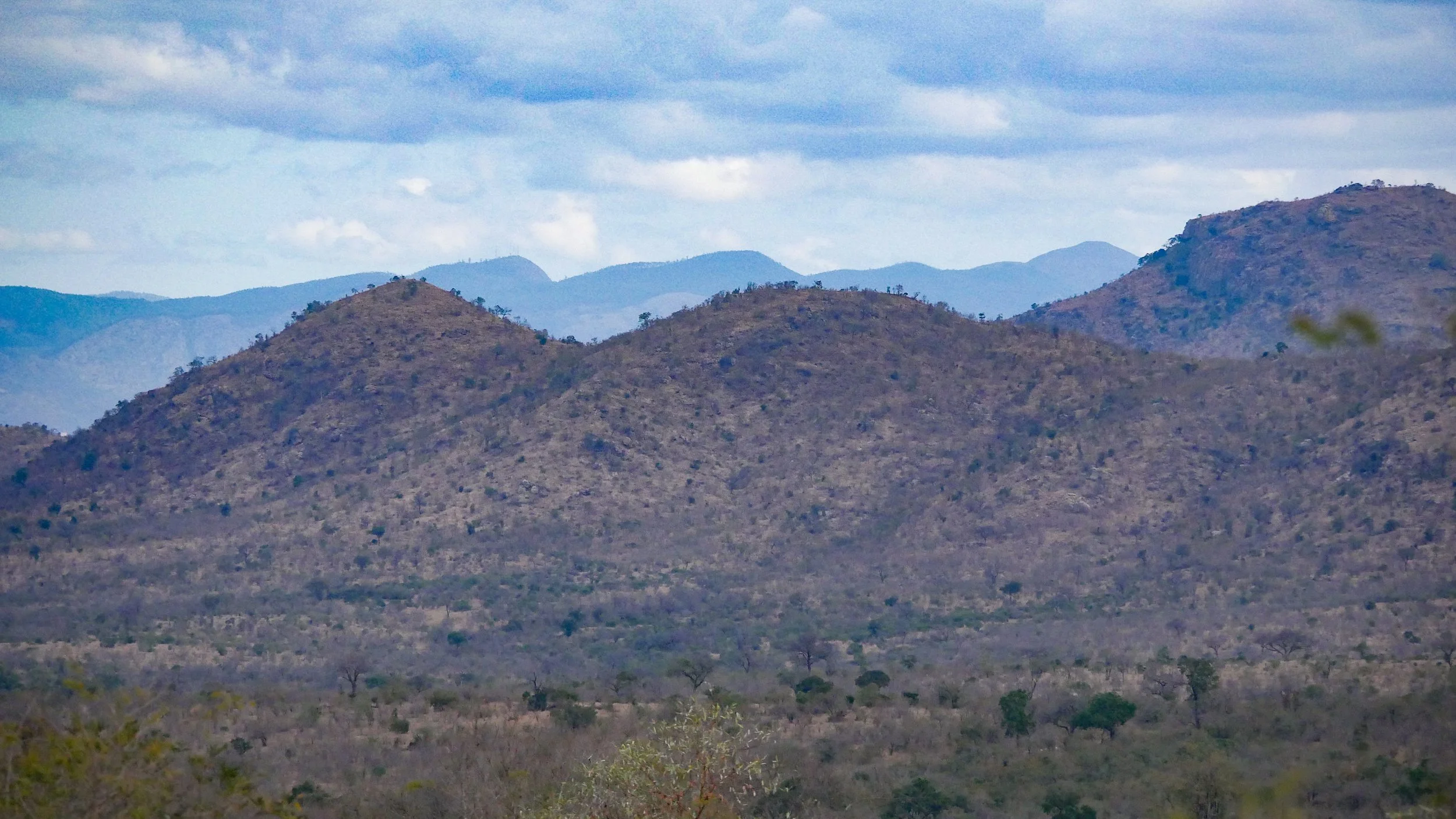 landscapeandwildlife_Kruger_-142.jpg