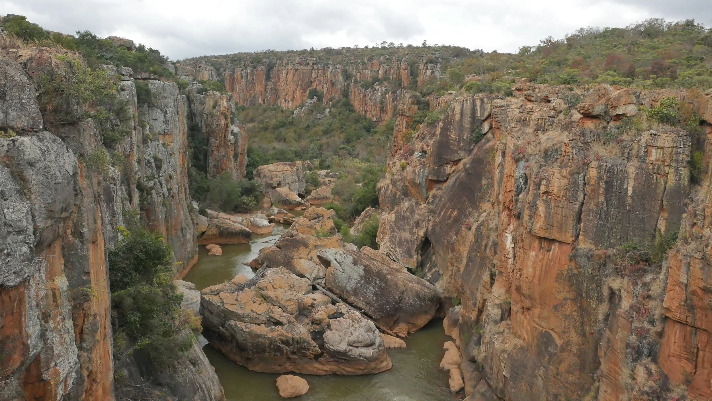 landscapeandwildlife_Kruger_-6-2.jpg