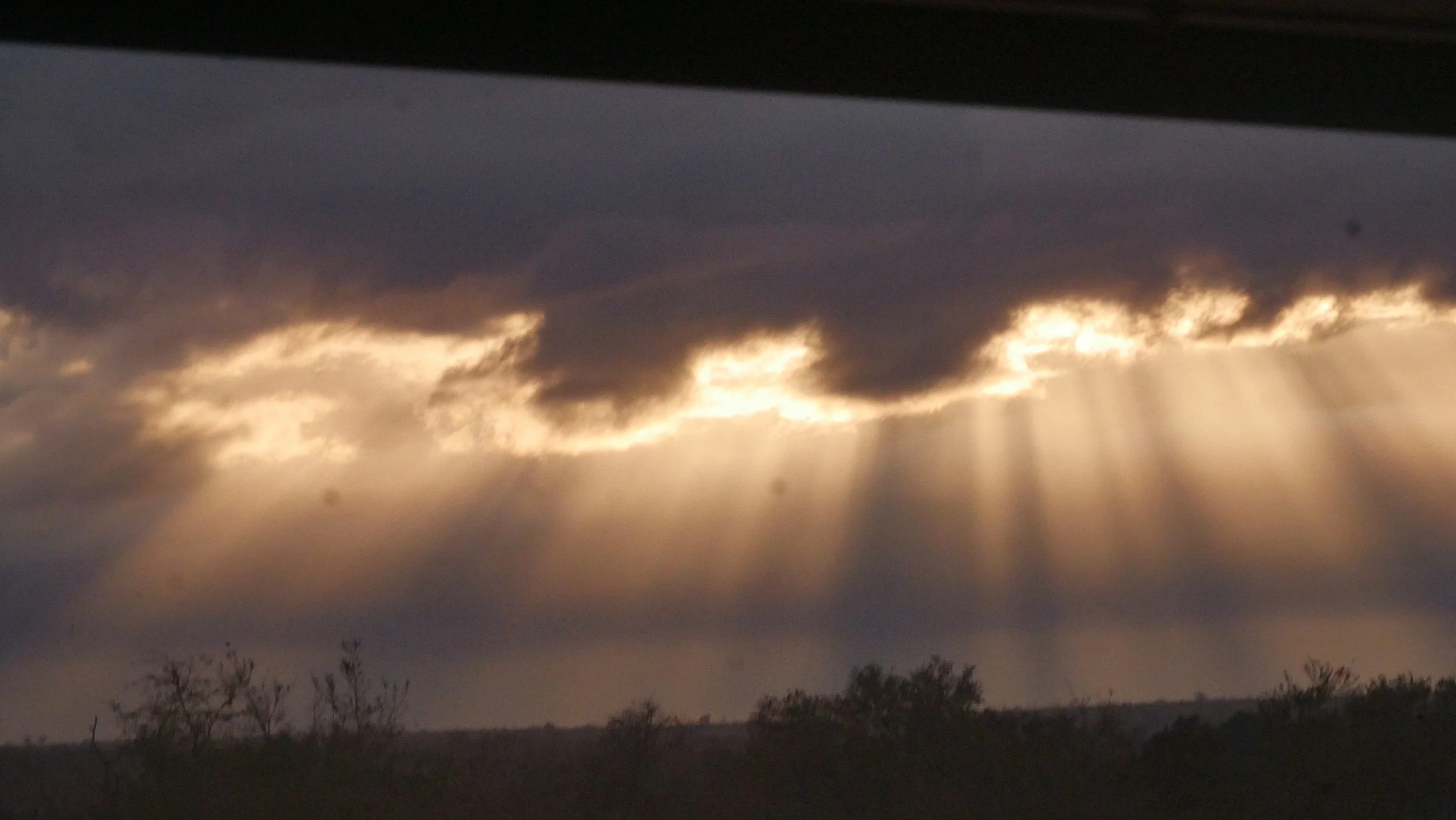 landscapeandwildlife_Kruger_-15.jpg