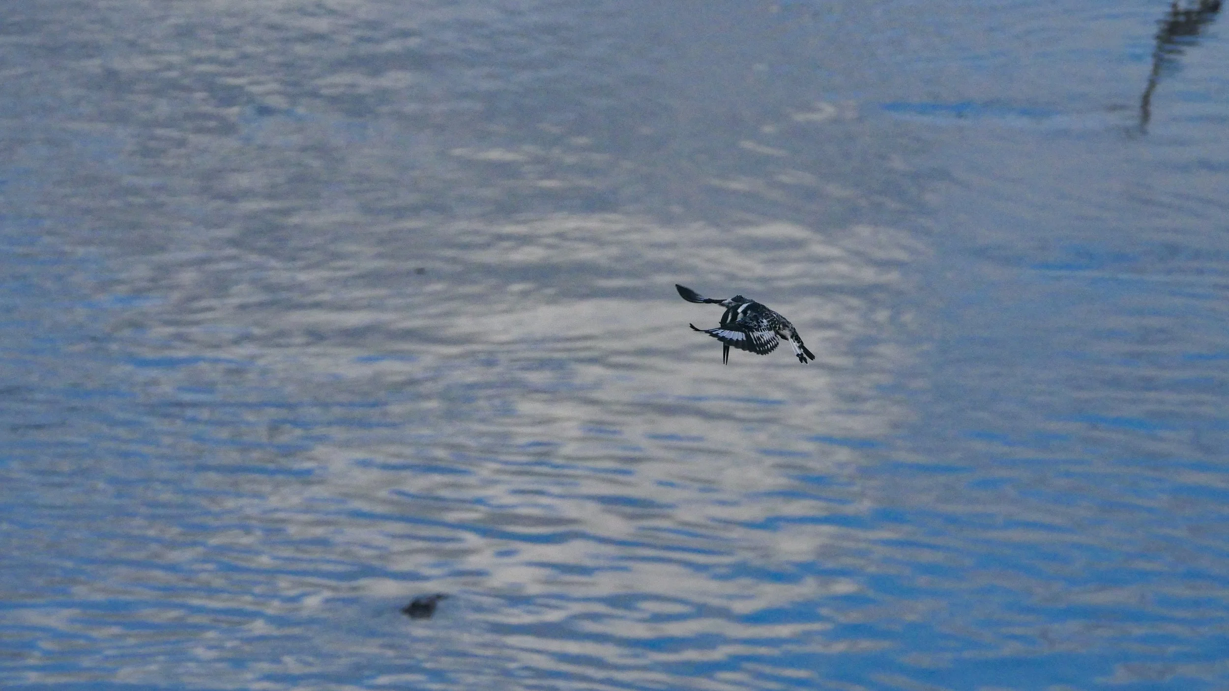 landscapeandwildlife_Kruger_-178.jpg