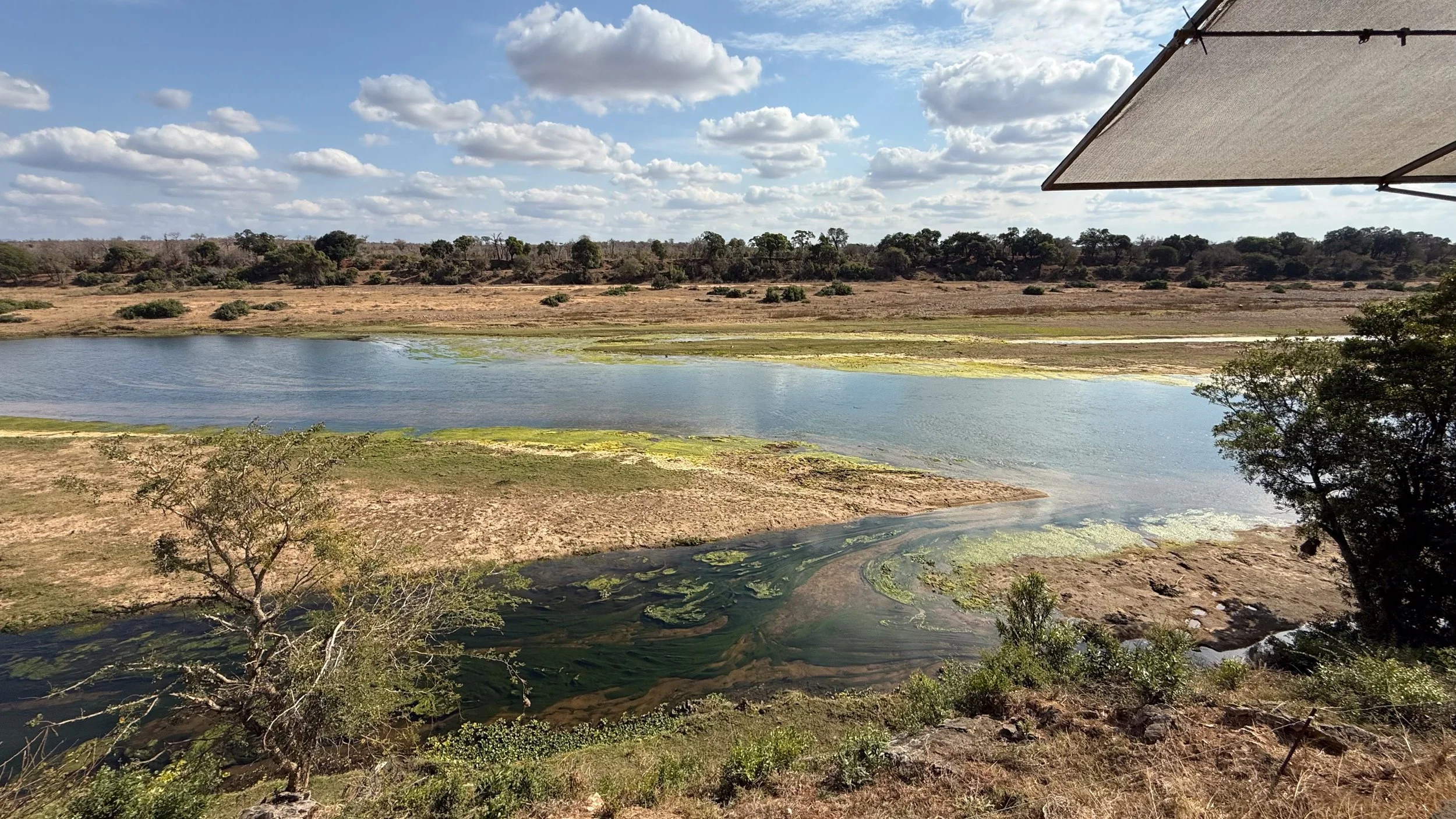 landscapeandwildlife_Kruger_-22-2.jpg