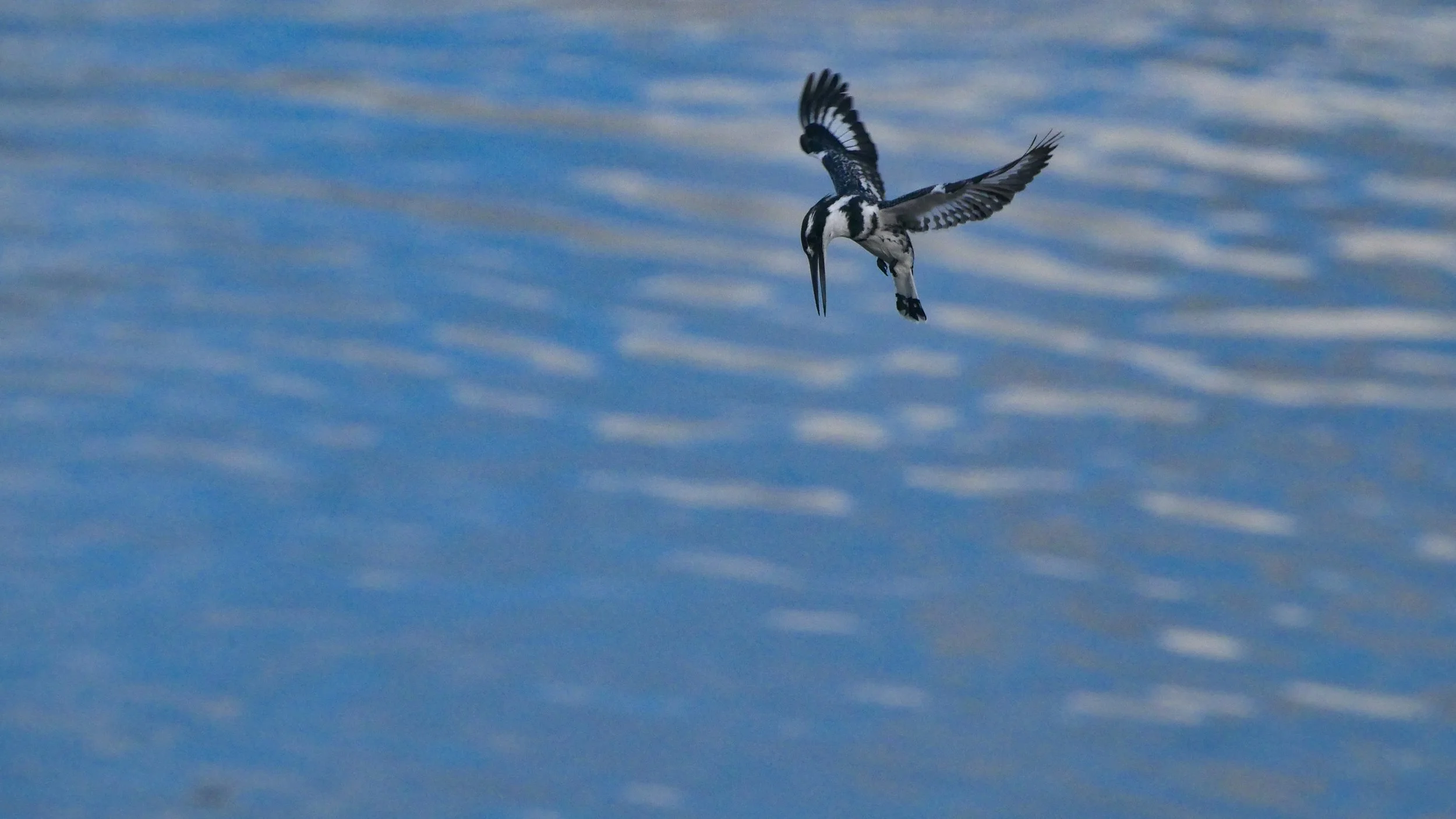 landscapeandwildlife_Kruger_-181.jpg