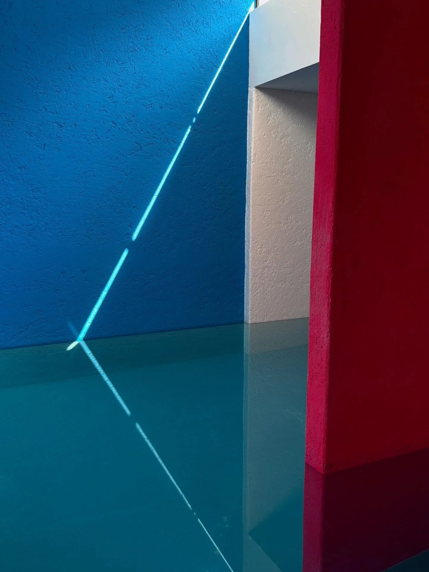 V&auml;riterapiaa Meksiko Cityss&auml; - v&auml;rien voima. #luisbarrag&aacute;n #fridakahlo #mexico #m&eacute;xicocity