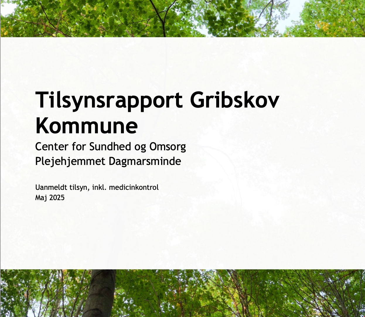 Tilsyn 2025.png