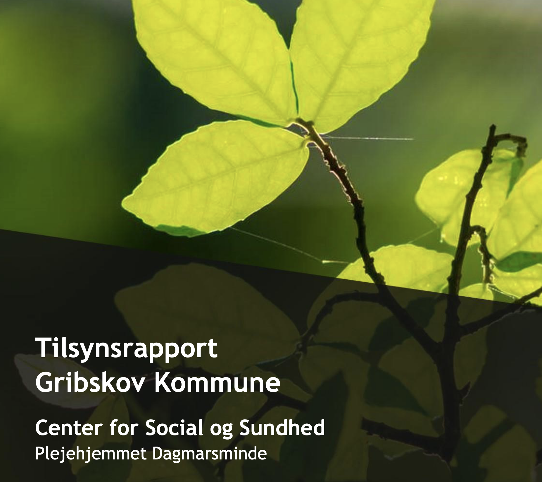 Screenshot 2022-11-21 at 15.09.24.png