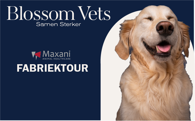 Maxani Dermatologie Tour 