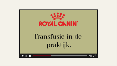Transfusie in de praktijk