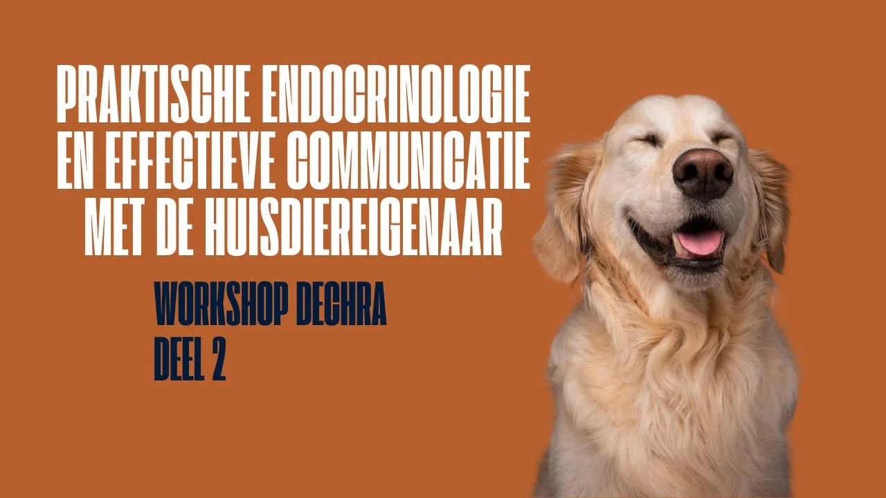 Workshop Dechra deel 2