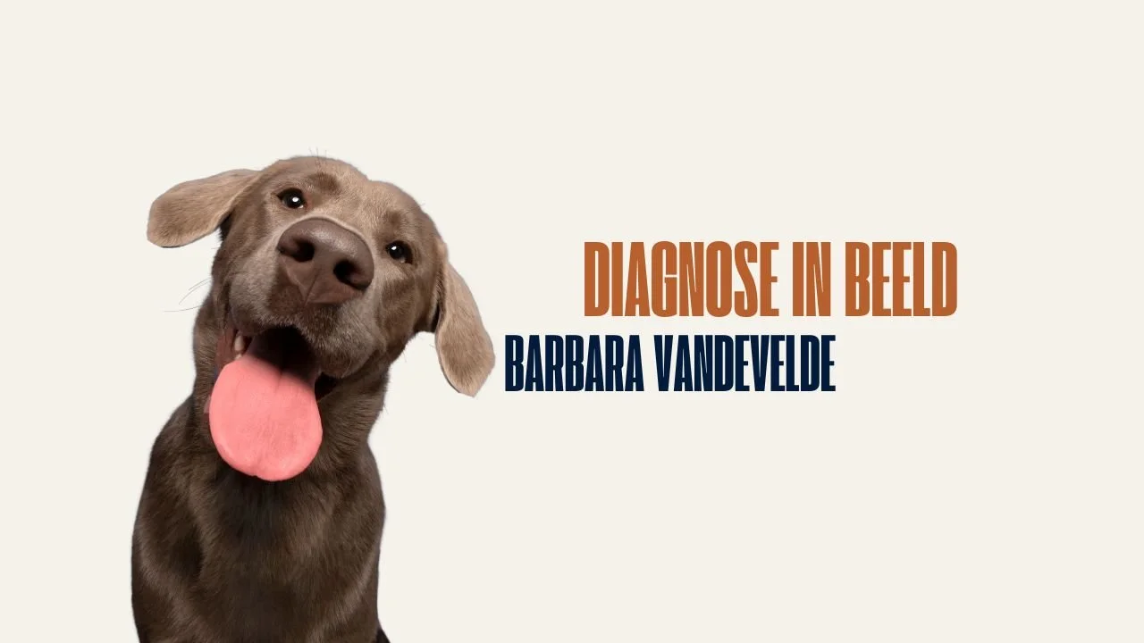 Lezing Barbara Vandevelde