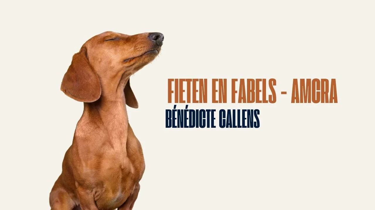 Lezing Bénédicte Callens AMCRA