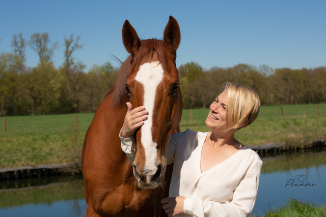 **Webinar: Al aan Addison gedacht?**