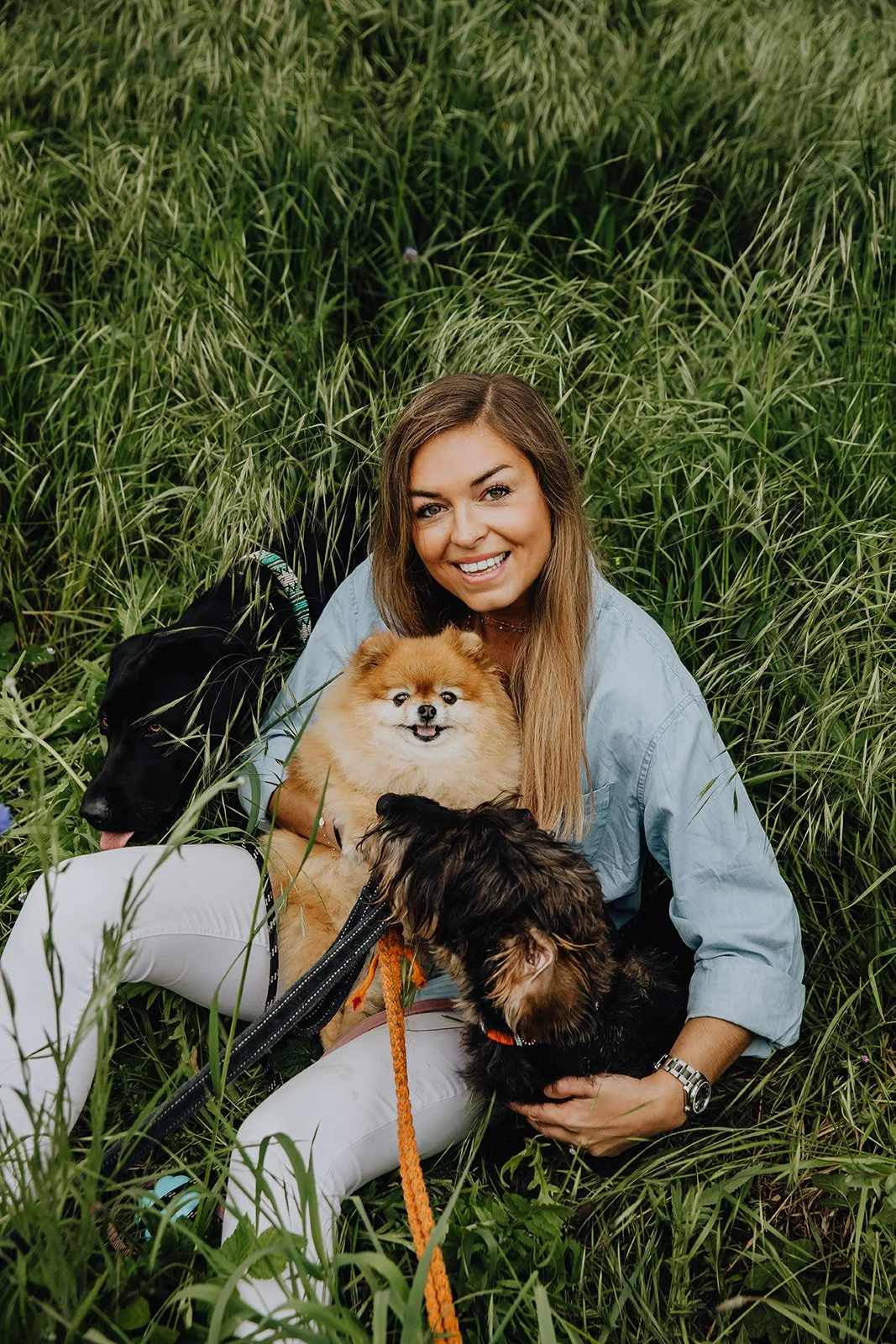 Webinar Blossom Vets  x Covetrus: Lymfoom bij de Hond en Kat