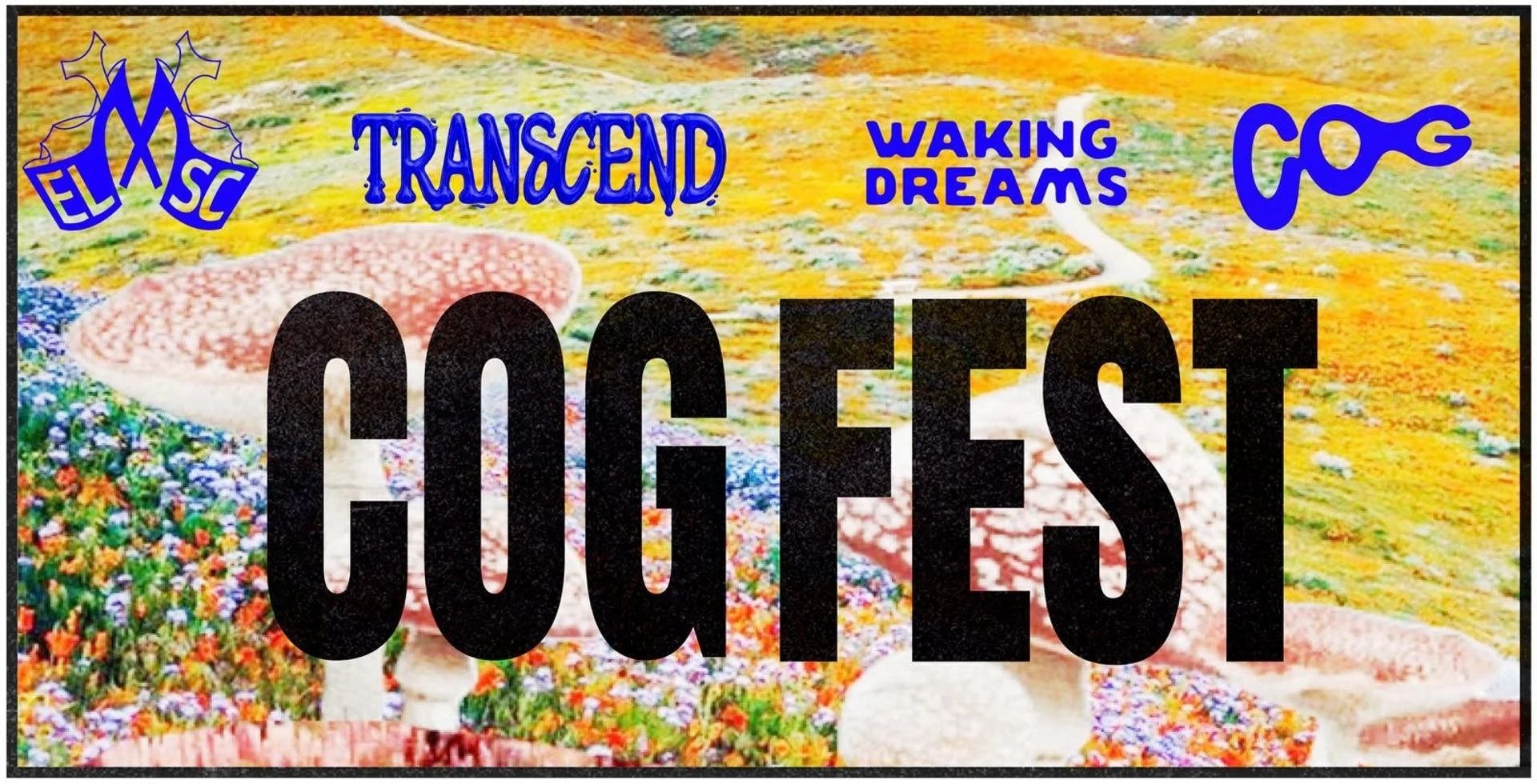 COG FEST at Waking Dreams Sauna