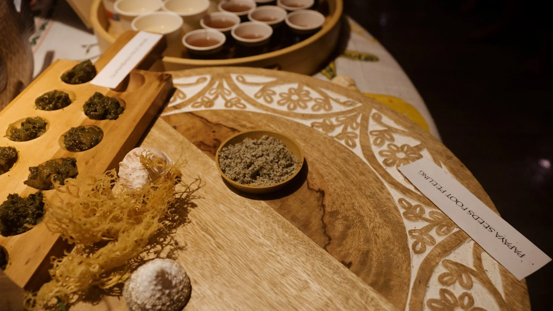 HCH-Showcase-Day1-56 (1).jpg