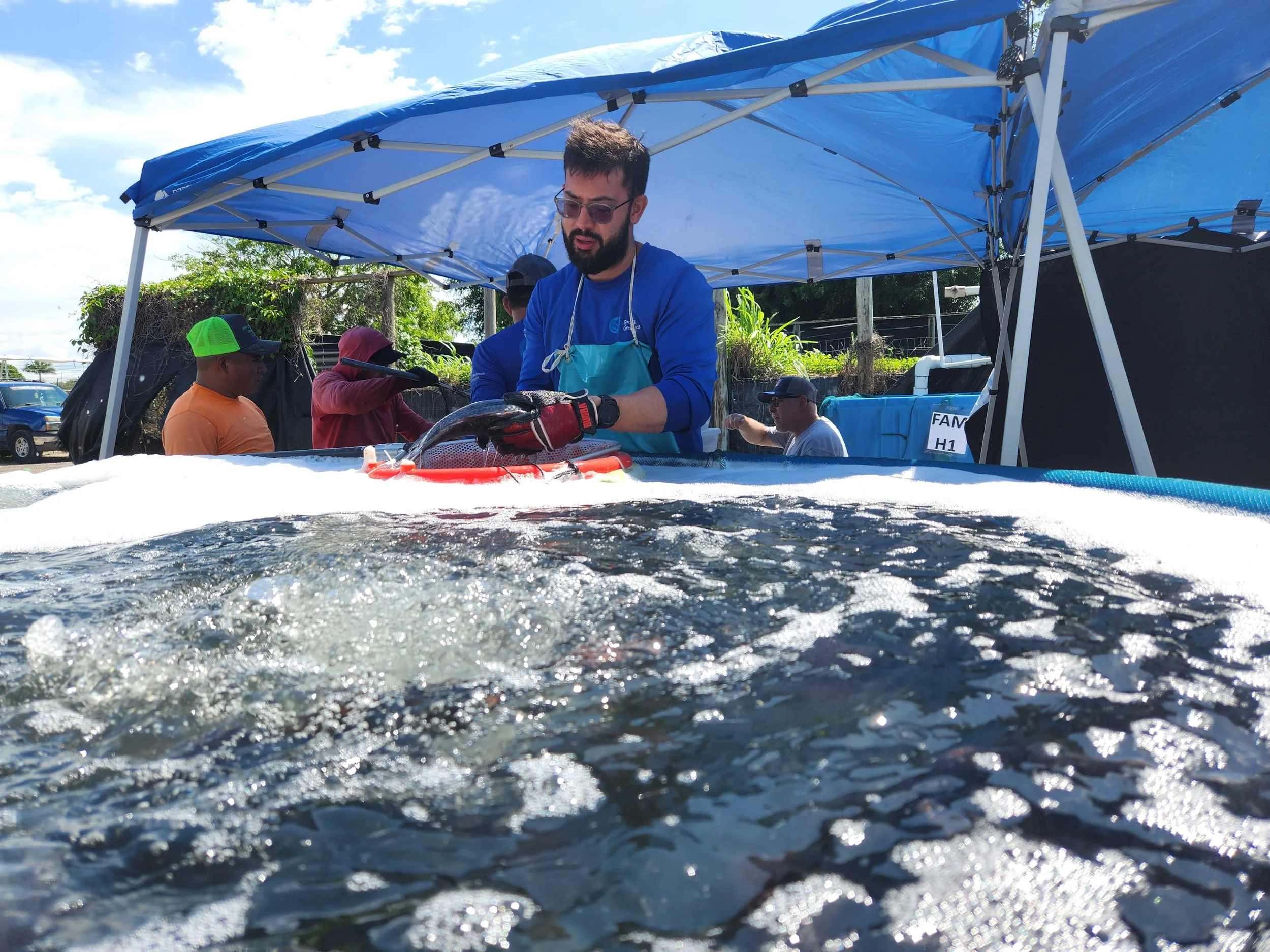 Services 2 — Tilapia Welfare