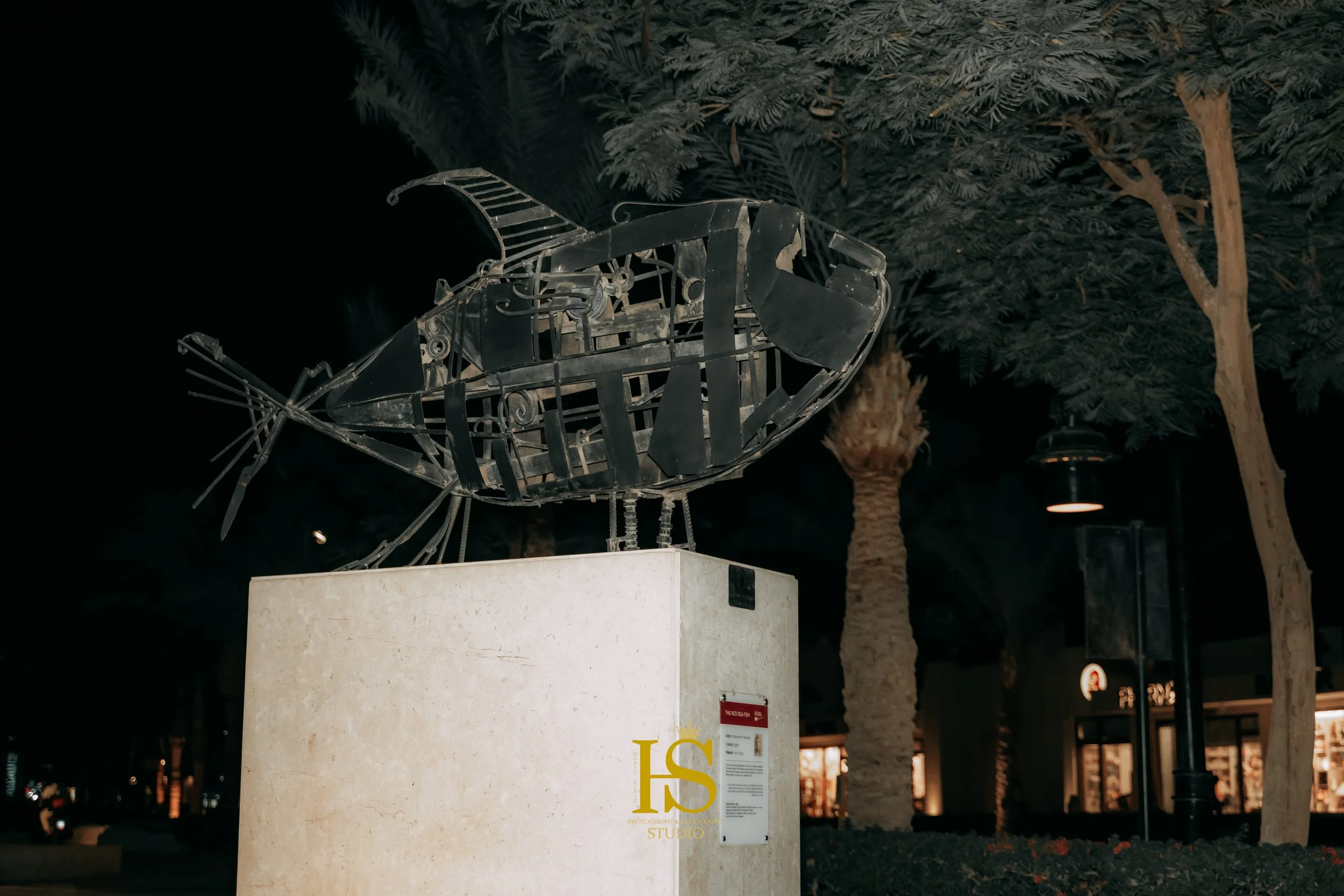 HS7_4812.jpg