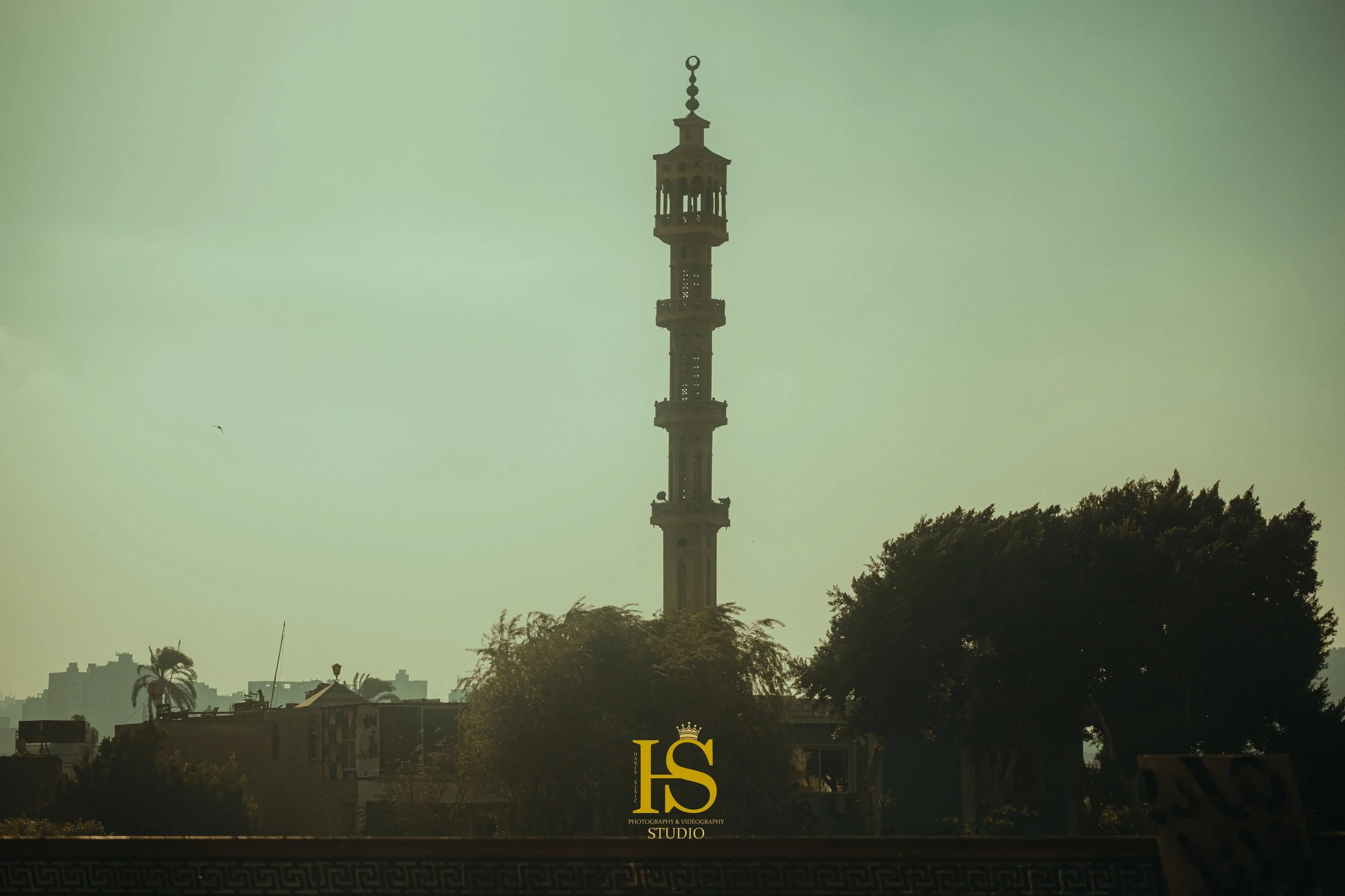 HSS_8632.jpg