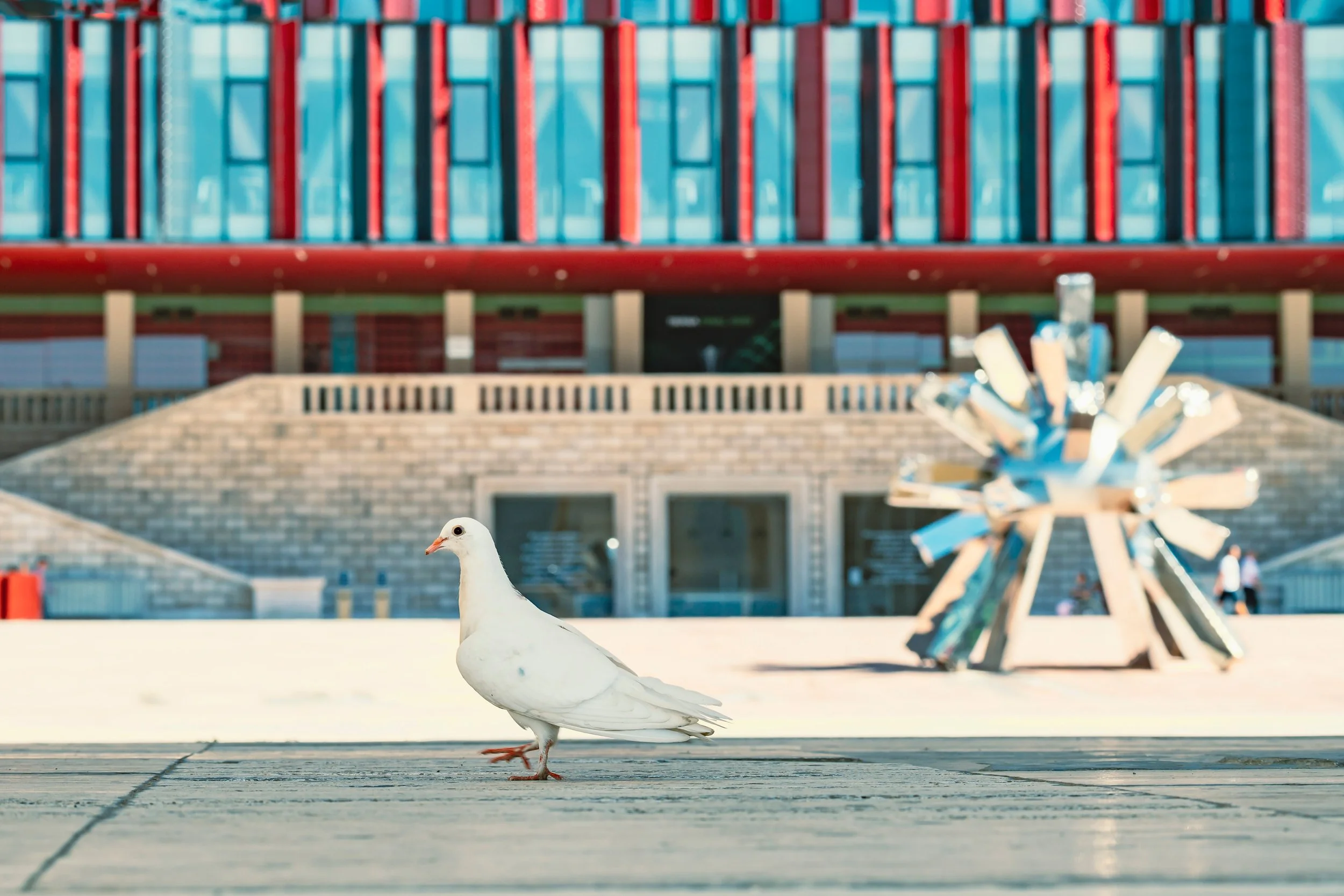 HSS_1853 – kopija.jpg