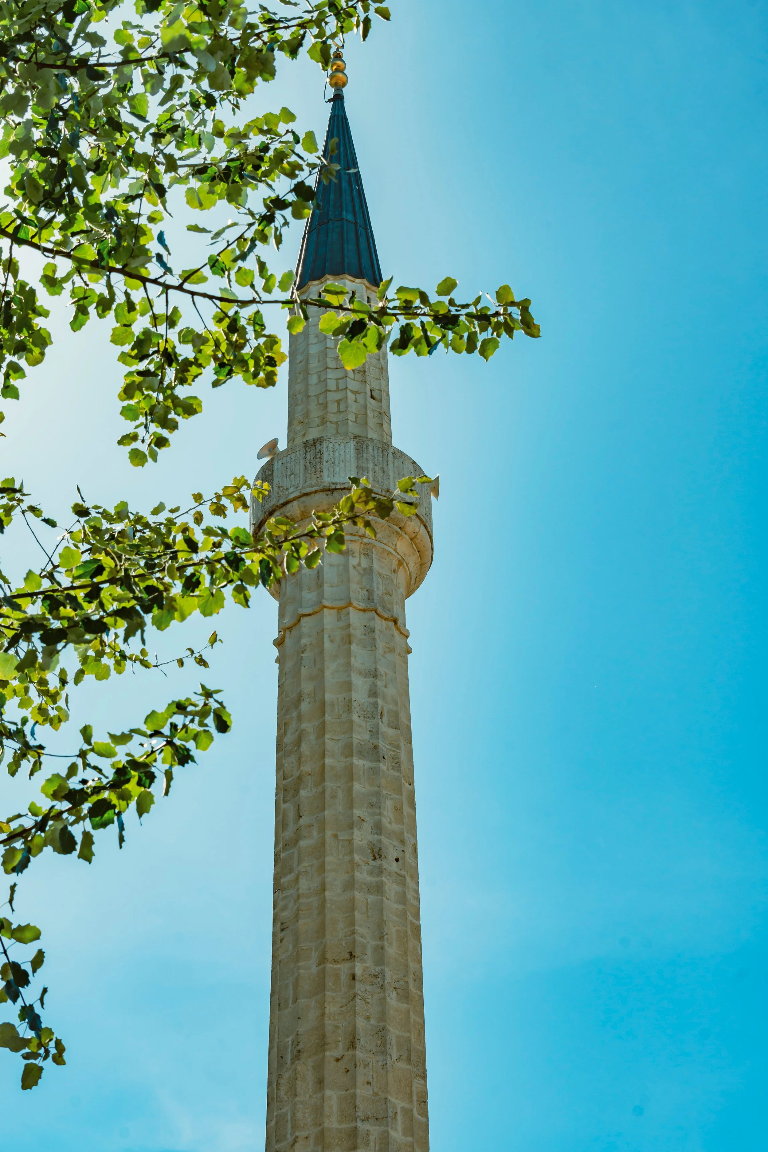 HSS_1910 – kopija.jpg