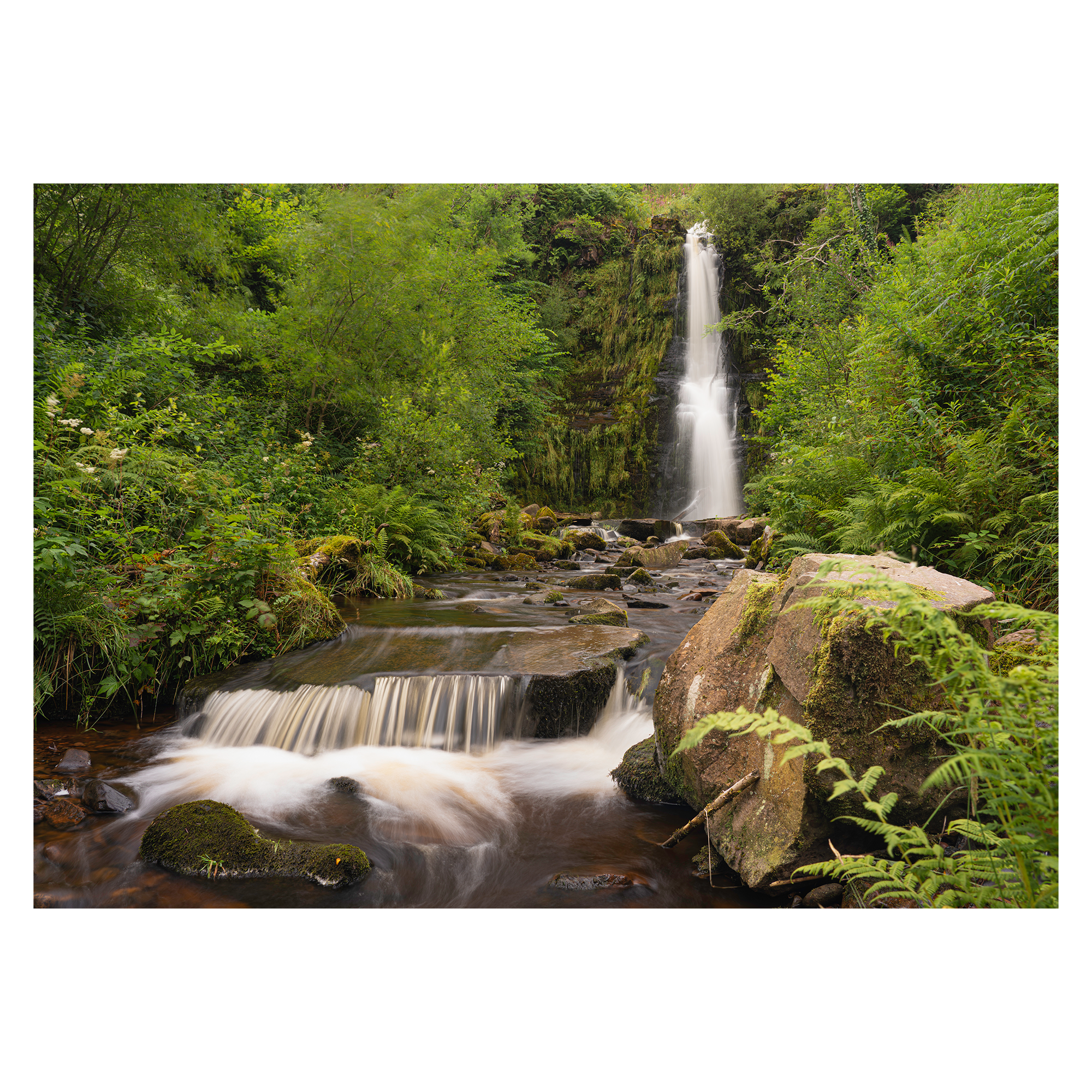 TN_Waterfall 2 .png