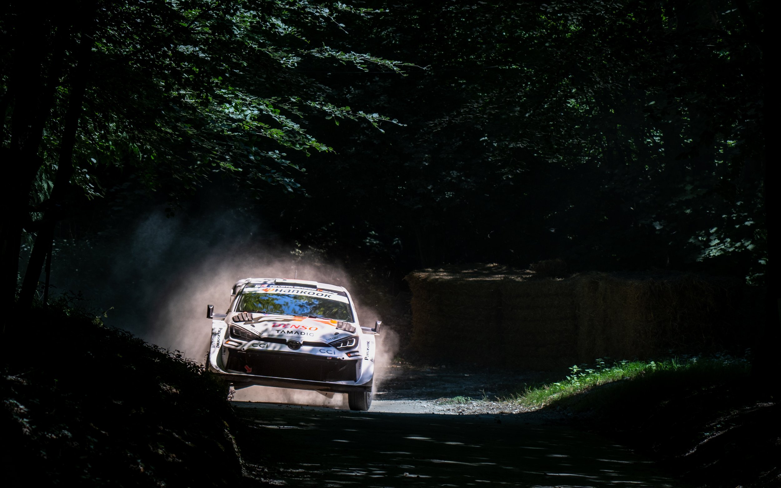Goodwood Festival of Speed 2025-6.jpg