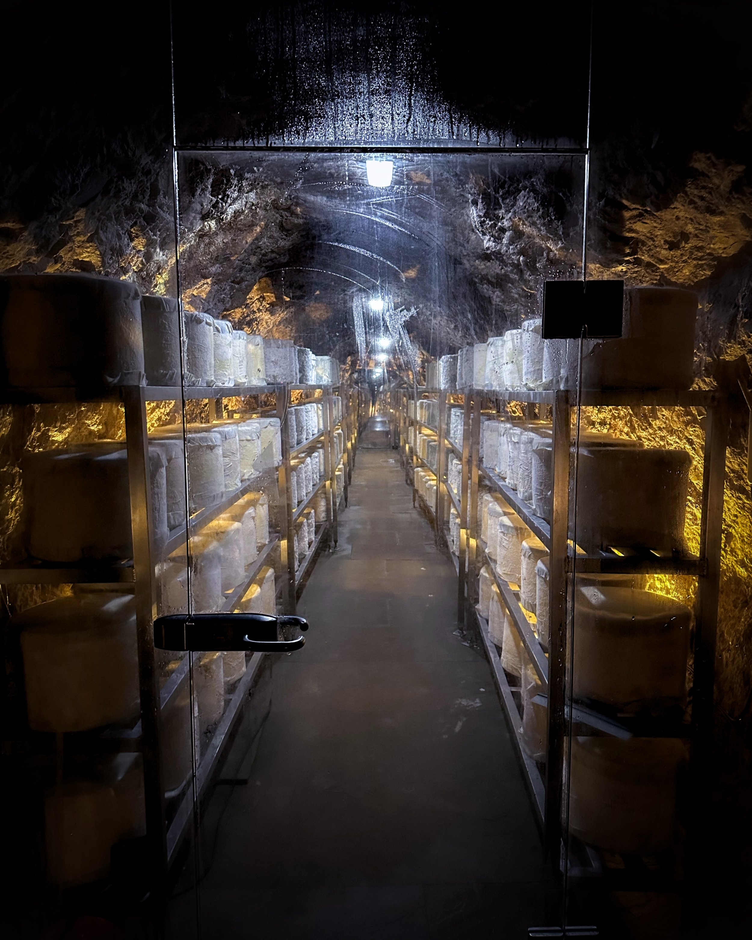 Wookey Hole Cheese .jpg