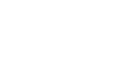 Snowden Ltd