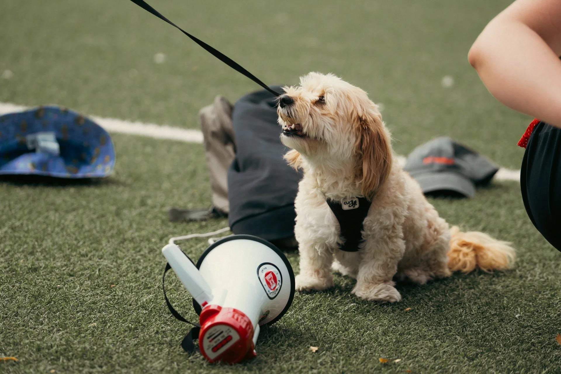 Football at Sorgenfri IP, Malmö.