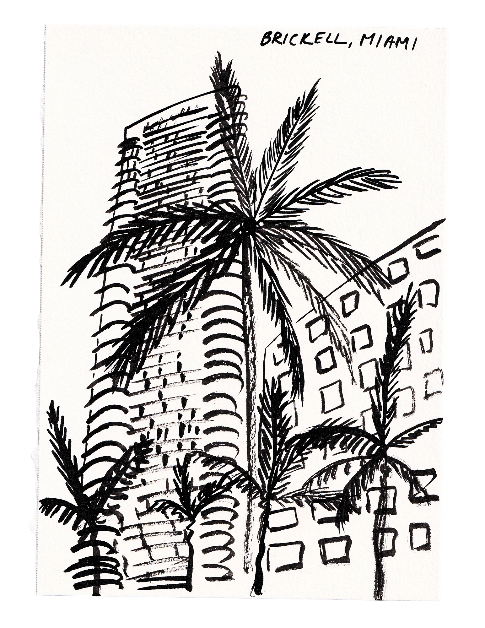 2025 jonellmelville.co illustrations (3).png