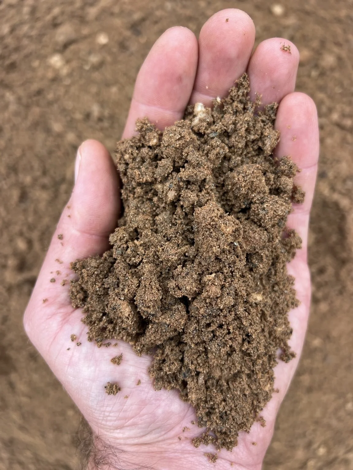 Sandy Loam Topsoil