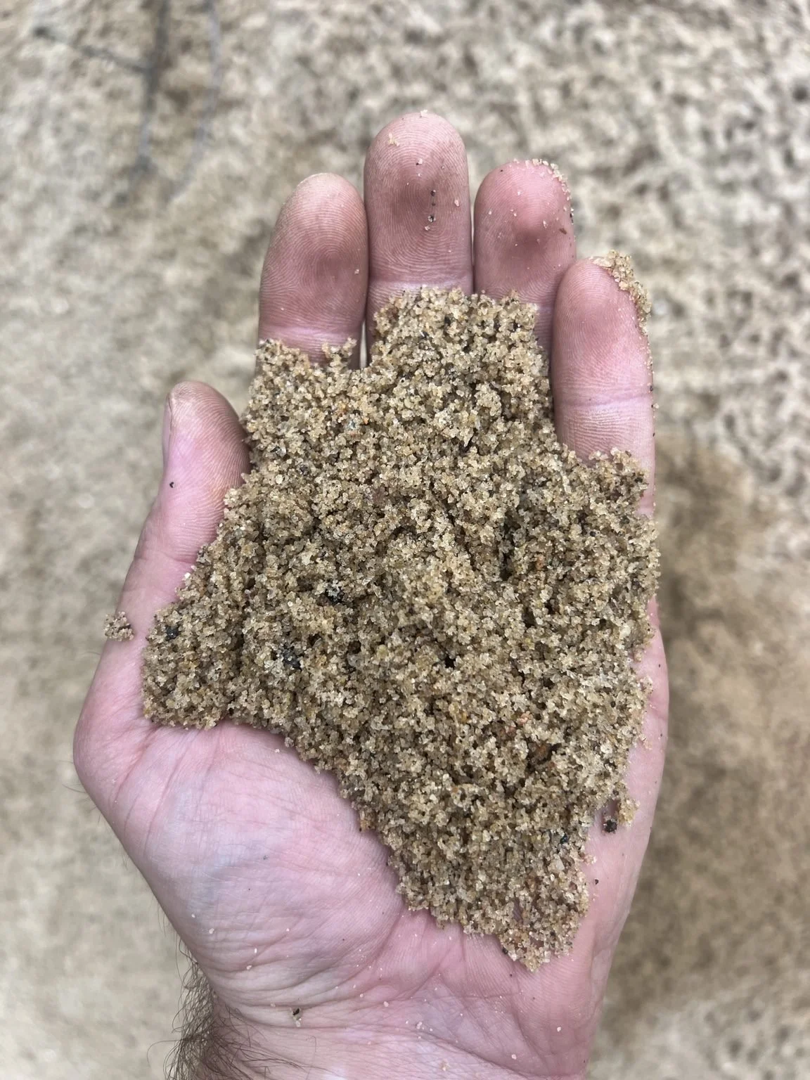 Close-up of a hand holding finer river sand, showing the smaller grain size and texture of the material.