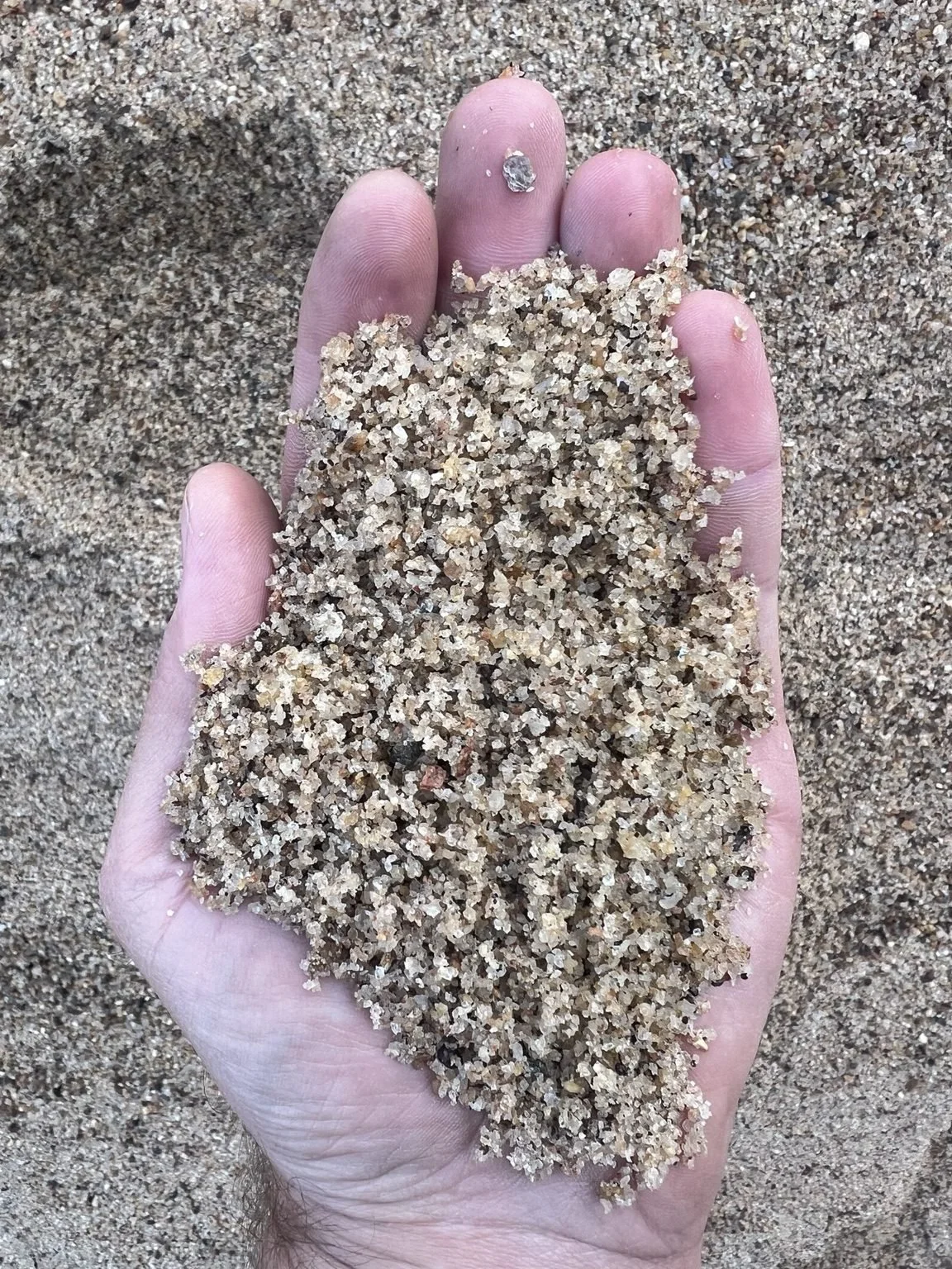 Close-up of a hand holding coarse river sand, showing the texture and grain size of the material.