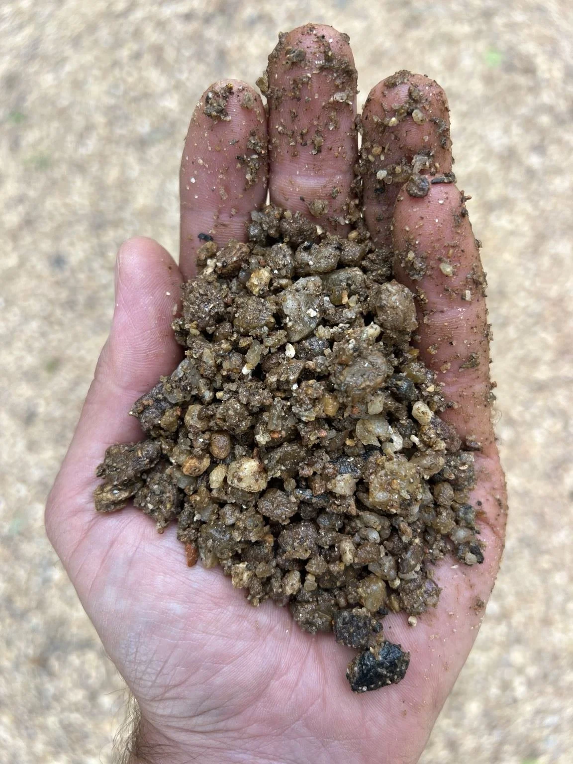 Close-up of a hand holding Screened River Gravel natural trail mix, showing mixed sand, small pebbles, fines, and natural material texture.