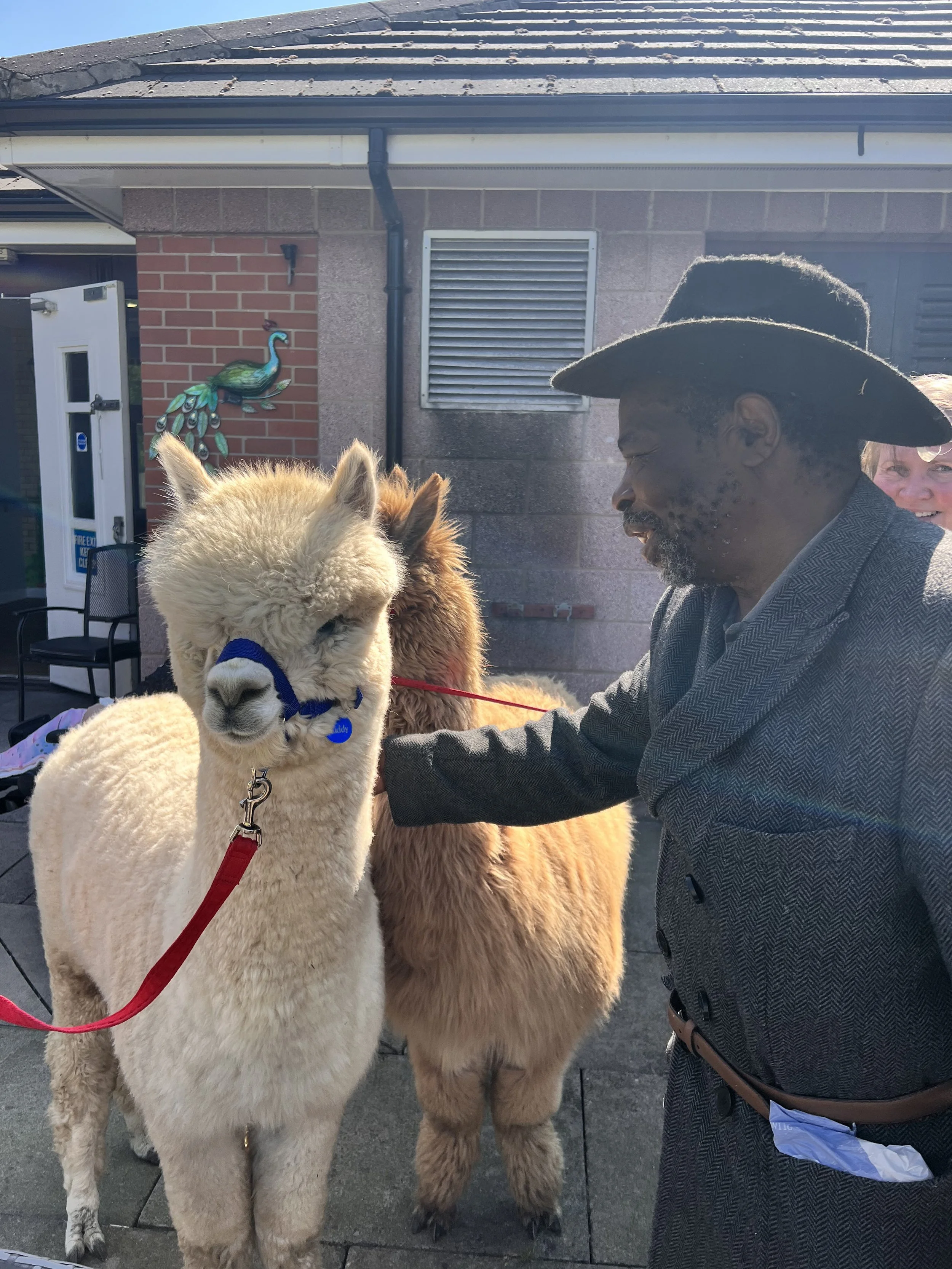 White Ash brook Alpaca 2.jpeg