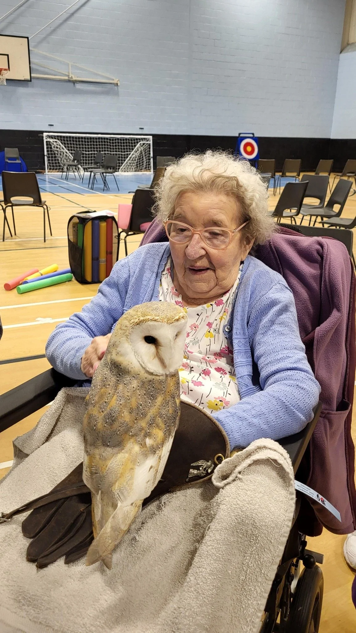 Music, Movement and Owls Take Centre Stage 