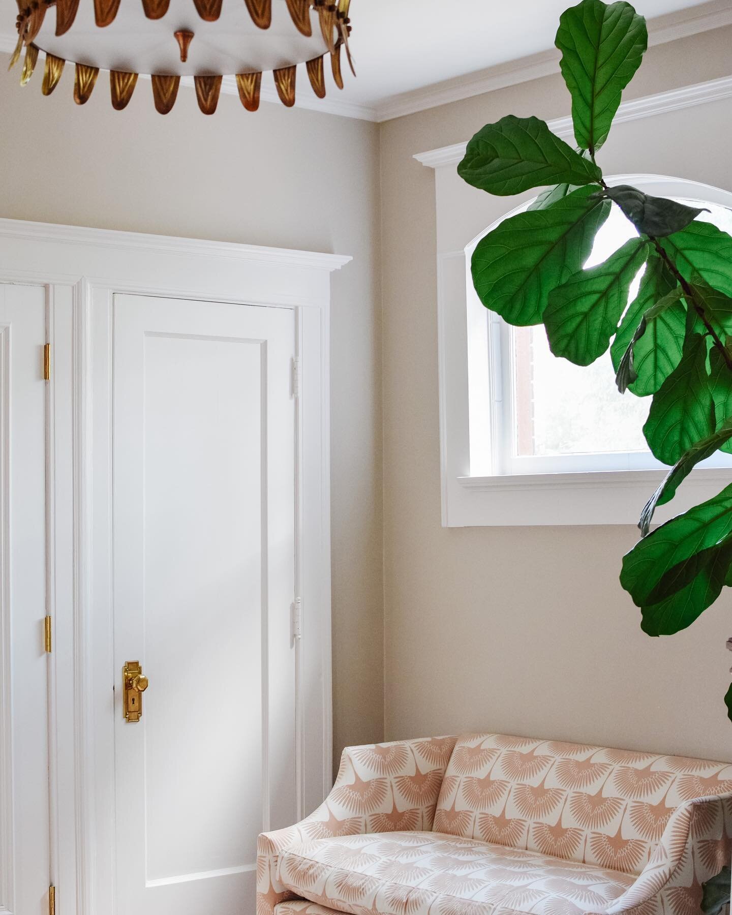 A happy little settee and fig tree 🌱
&mdash;
#interiordesign #interiordesigner #interiordecorating #foyer #foyerdecor #foyerdesign #foyerlighting #settee #postitforaesthetic #luxeathome #myhousebeautiful #thehappynow #inmydomaine #flashesofdelight #