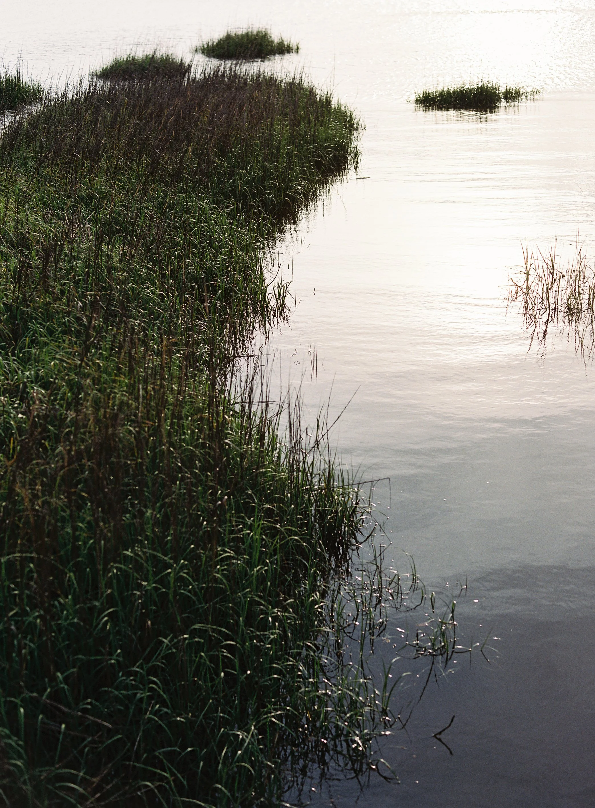 Natalie and Mike_ Katie York Photography64.jpg