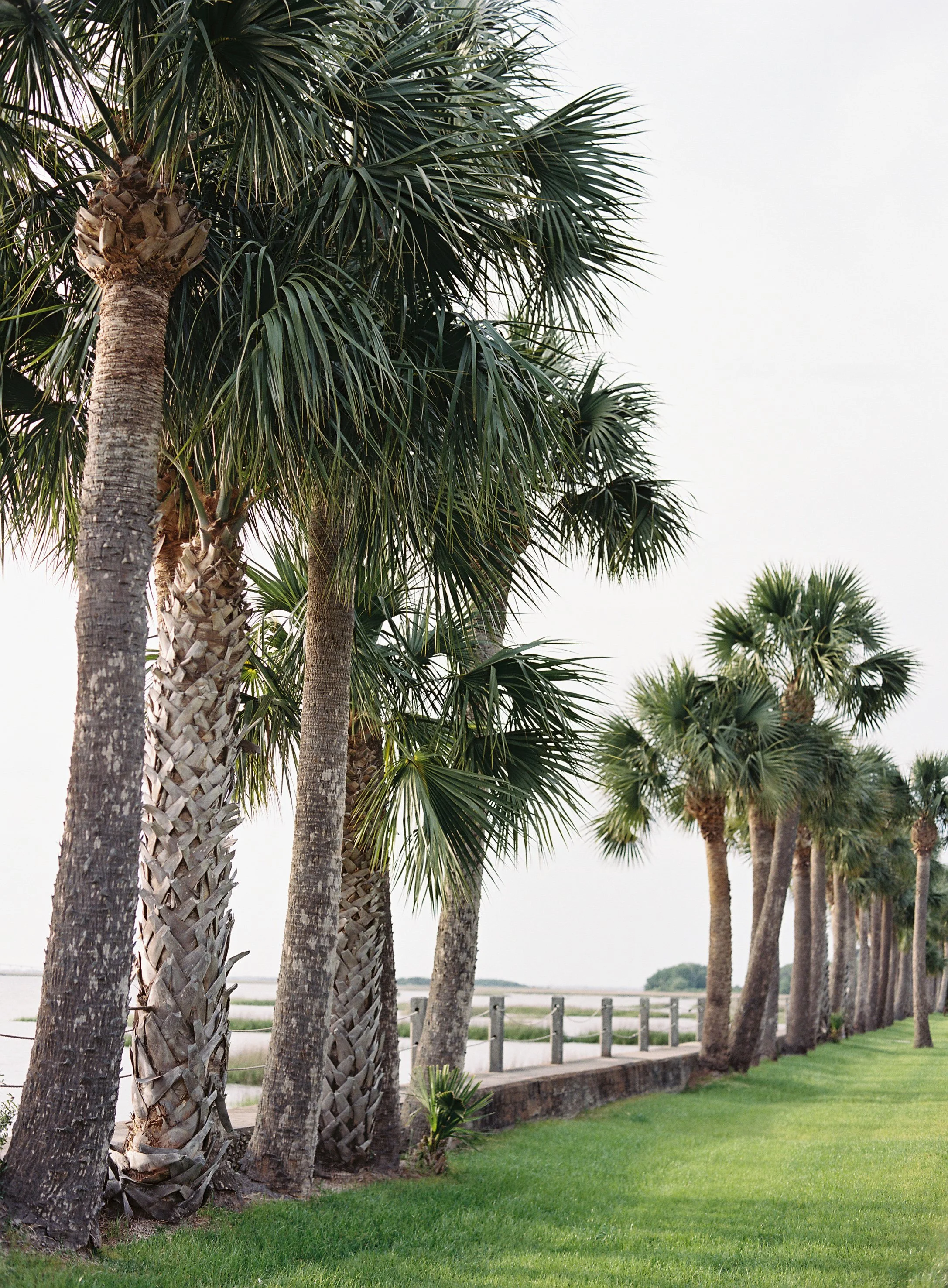 Natalie and Mike_ Katie York Photography22.jpg