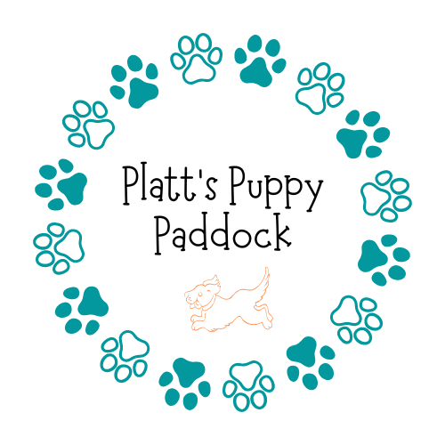 Platt&#39;s Puppy Paddock