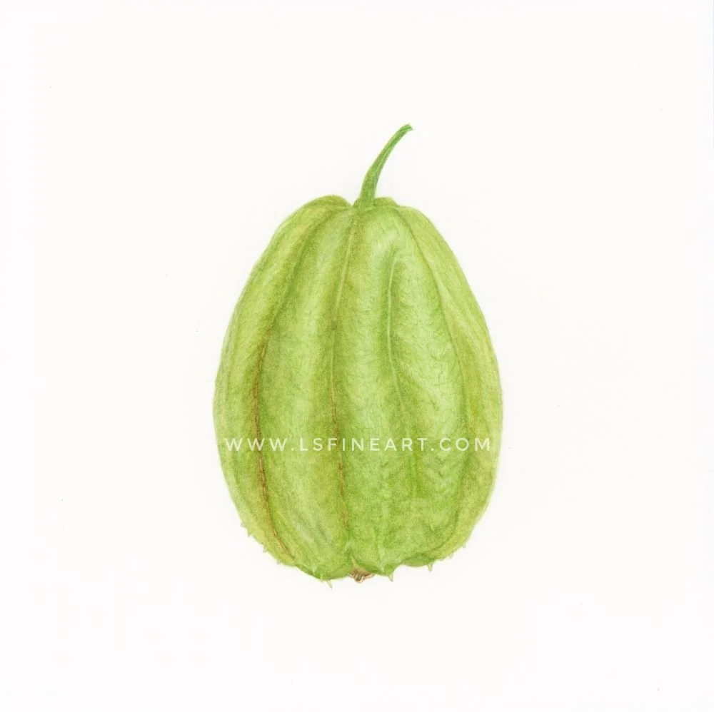 chayotecropweb.jpg