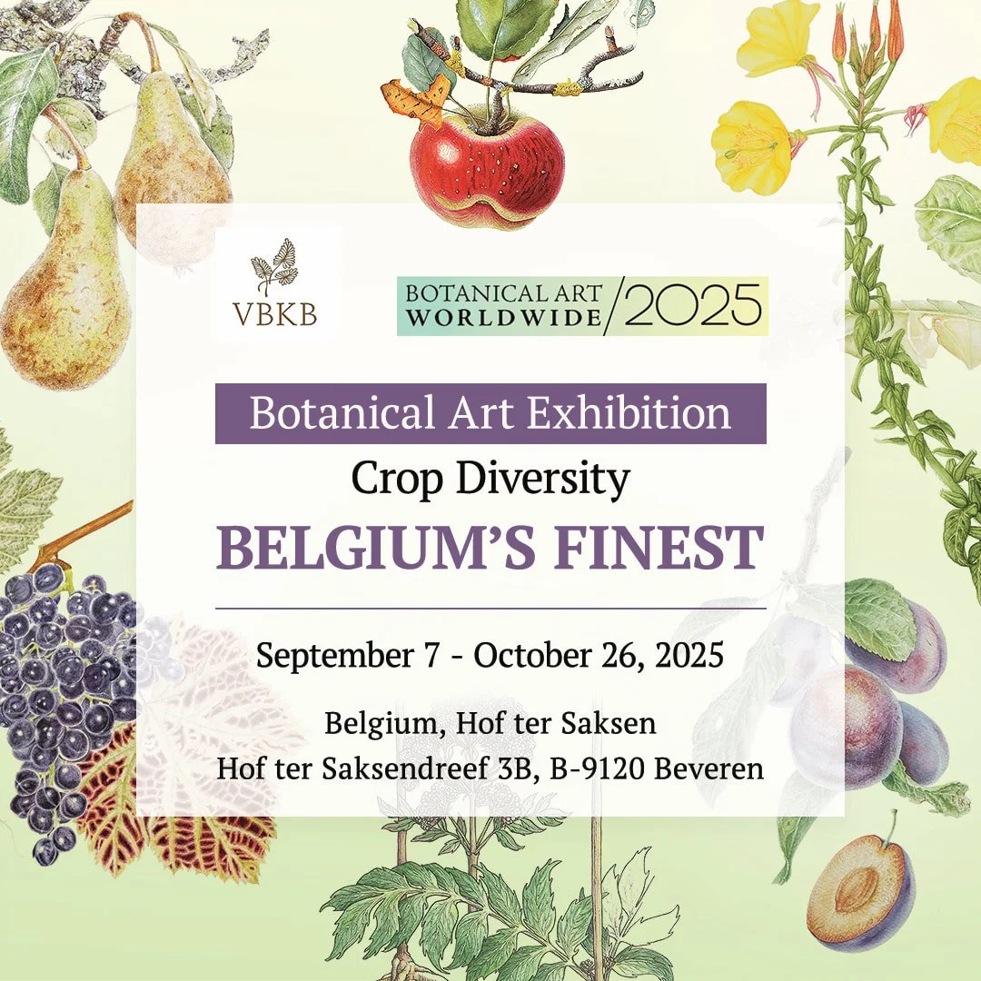 Botanical Art Worldwide 2025 - Crop Diversity - Belgium's Finest
