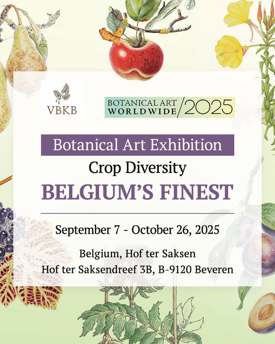 [ENG] I&rsquo;m happy to announce the opening of my first international group exhibition. One of my botanical watercolors is currently on view in Beveren, Belgium. For more details, please head to @ls_botanicalart or read my new blog post.

[FR] Je s