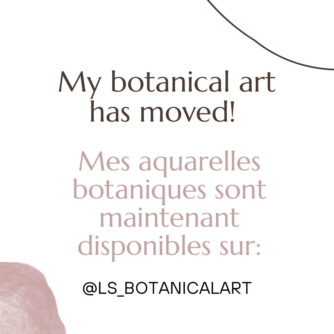 🇬🇧 &amp; 🇫🇷 below👇

Hey folks! I have made a new account for my botanical art and natural history illustrations. I will continue posting my realistic watercolors here; however, if you enjoy my botanicals, please follow @ls_botanicalart 

Salut t